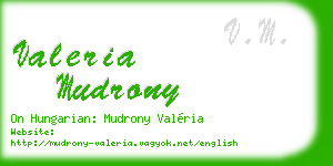 valeria mudrony business card